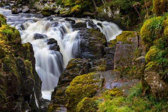Excursión al bosque Hermitage y Dunkeld